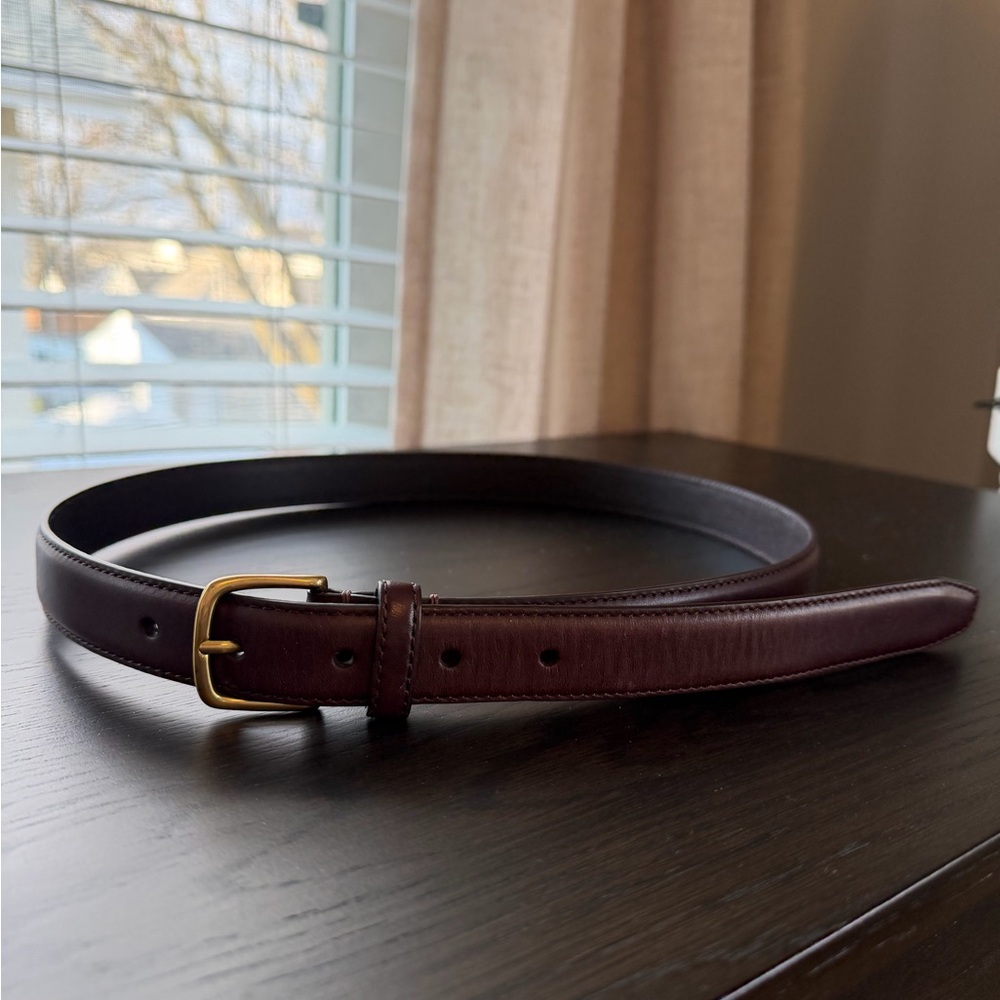 Aritzia Essential Brown Leather Belt